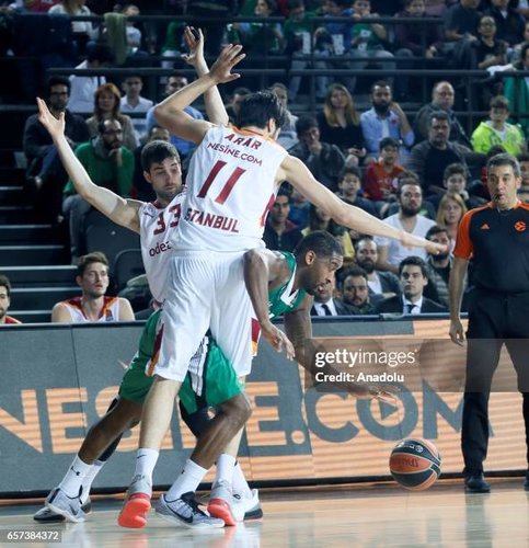 Ege Arar