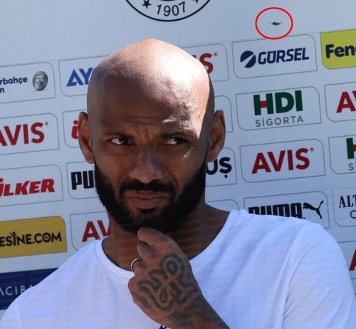 Taner Arı