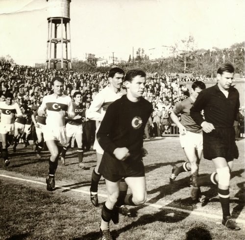 Necmi Mutlu
