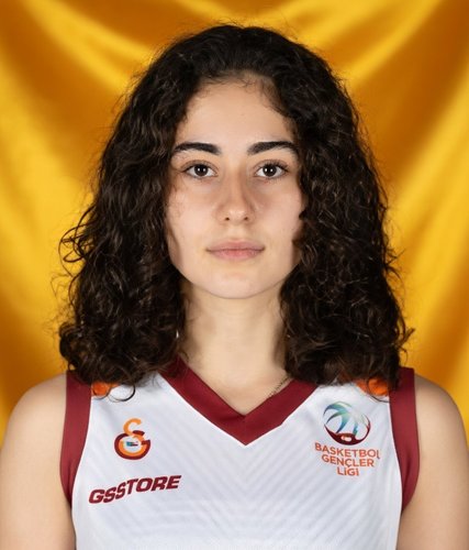 Nejat Diyarbakırlı