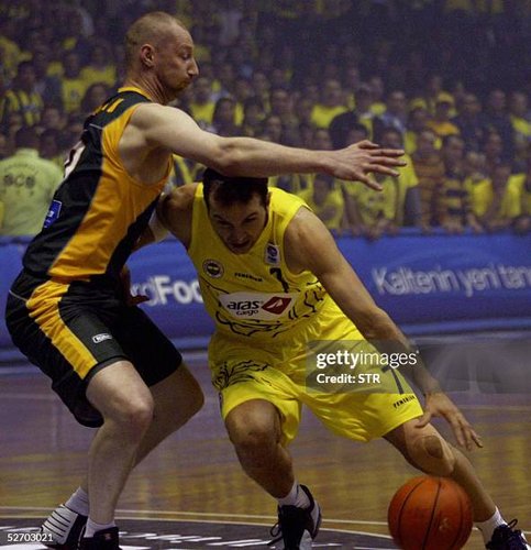 Erdal Bibo