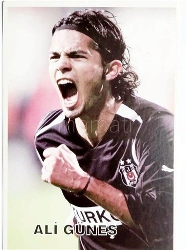 Ali Güneş