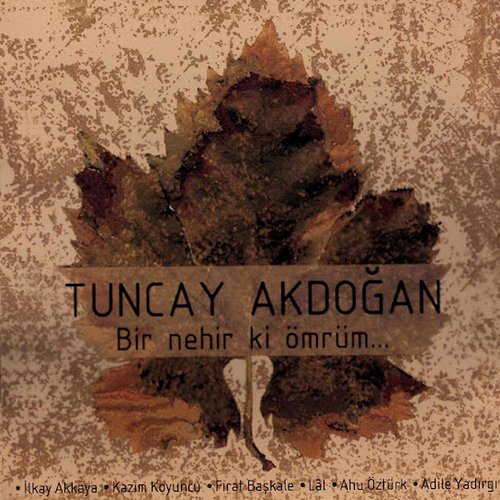 Tuncay Akdoğan