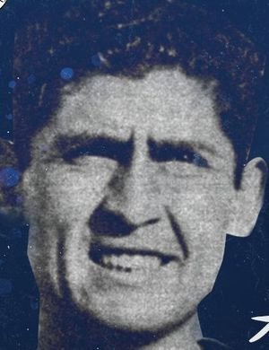 Ahmet Erol