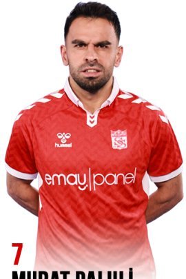 Murat Paluli