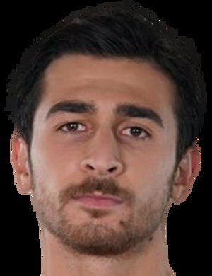 Ulaş Zengin