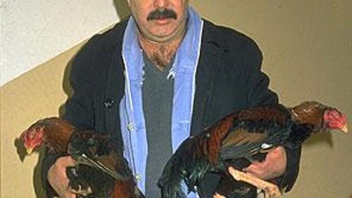 Aykut Oray