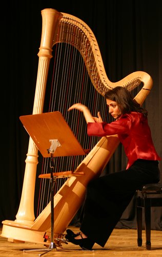 Ceren Necipoğlu