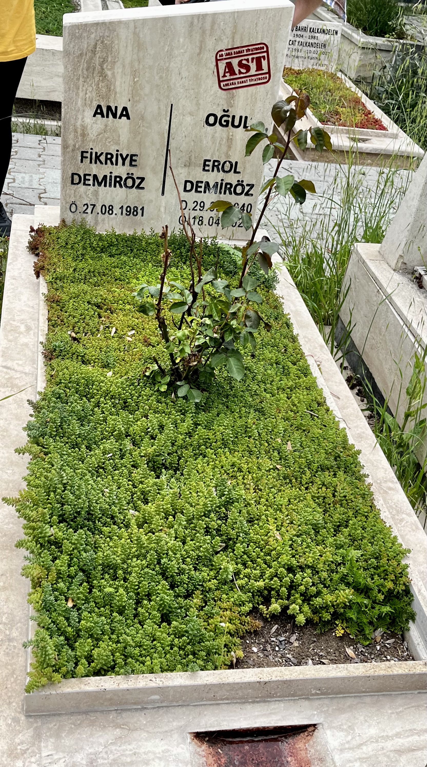 Erol Demiröz