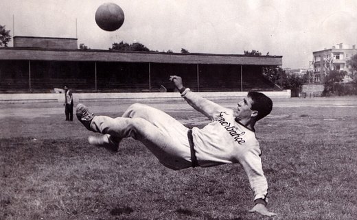 Nedim Doğan