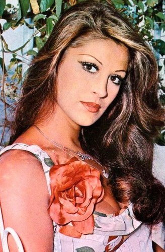 Gülşen Bubikoğlu