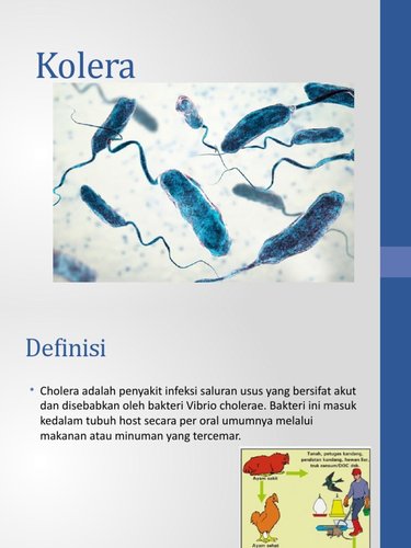 Kolera