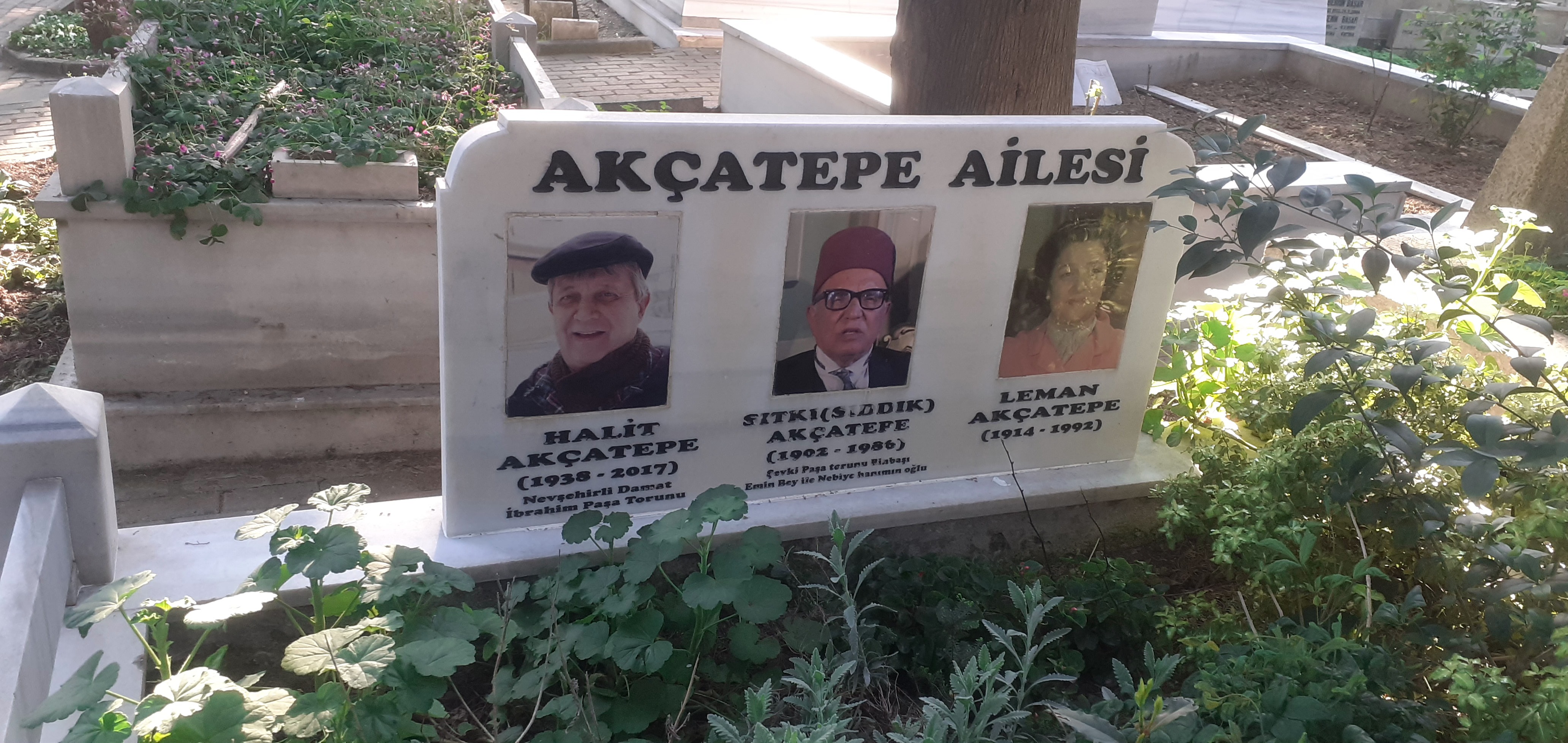 Leman Akçatepe