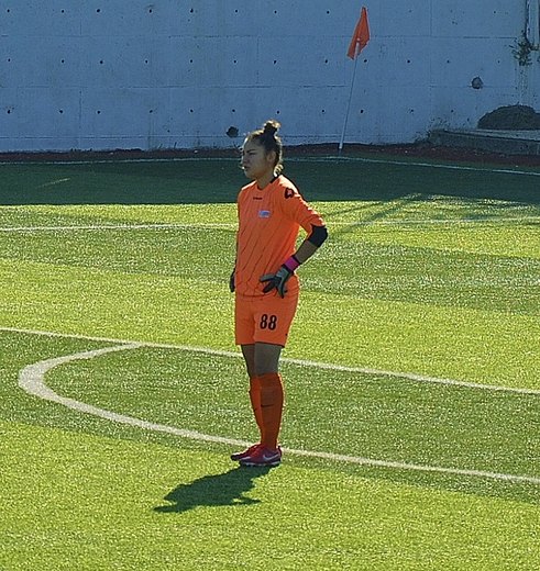 Bilgesu Aydın