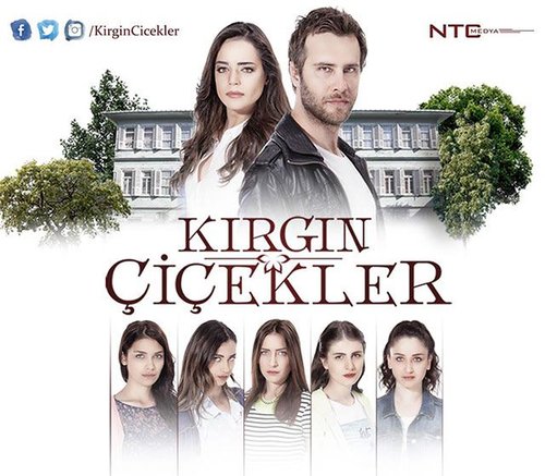 Fleurs brisées (Kırgın Çiçekler)