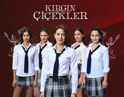 Fleurs brisées (Kırgın Çiçekler)