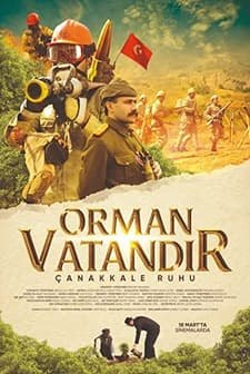 Çanakkale Ruhu