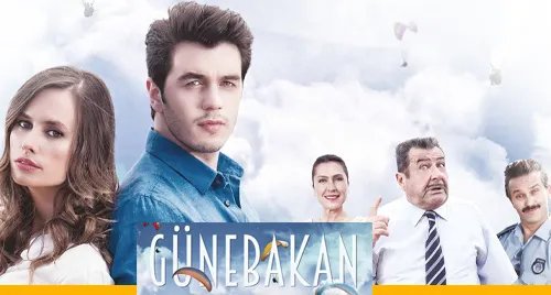 Sunflower (Günebakan)