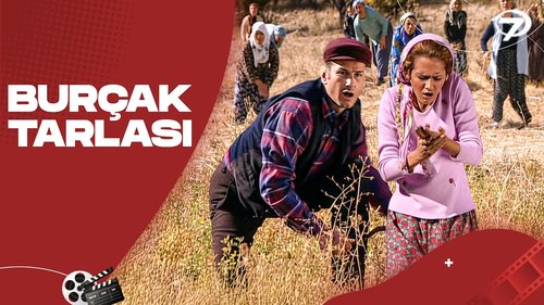 Burçak Tarlası