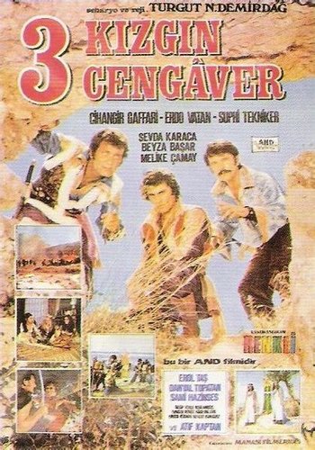 Three Angry Warriors (Üç Kızgın Cengaver)