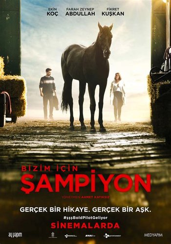 Bold Pilot (Bizim İçin Şampiyon)