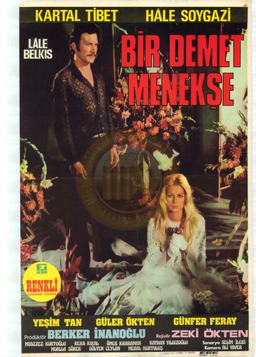 Bir Demet Menekşe