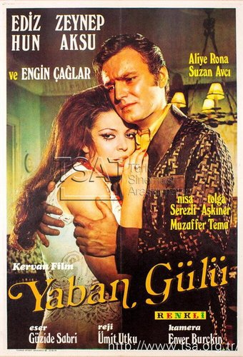 Wild Rose (Yaban Gülü)