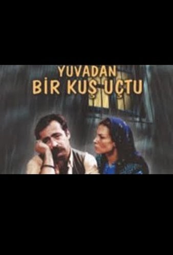 Un oiseau s'est envolé du nid (Yuvadan Kuş Uçtu)