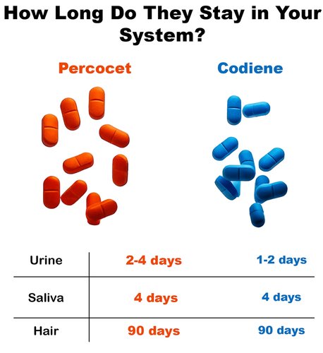 کوڈین (Codine)
