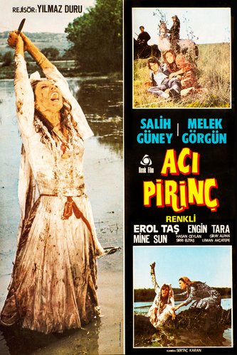 Acı Pirinç