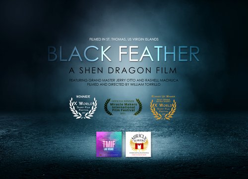 Crno perje (Black Feathers)