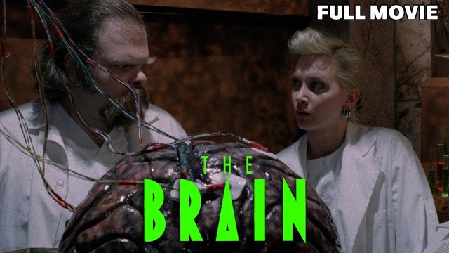The Brain