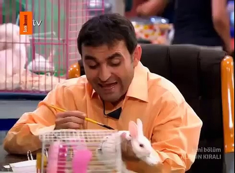 Alemin Kıralı (Alemin Kralı)