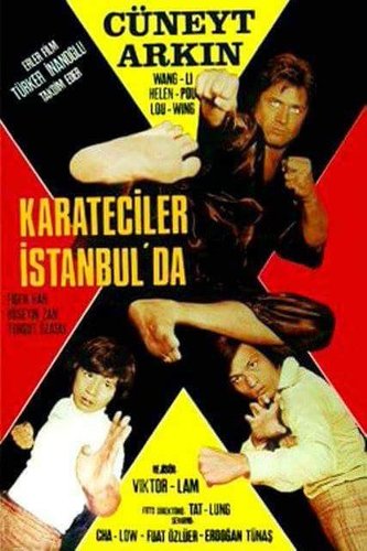 Karateciler İstanbul'da