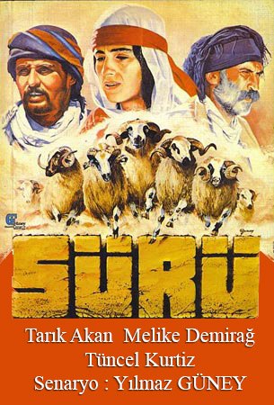 Sürü