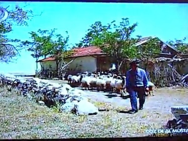 Çözde Al Mustafa Ali