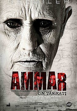 Ammar: Cin Tarikatı