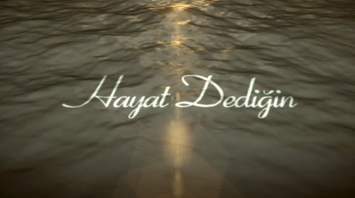 Hayat Dediğin
