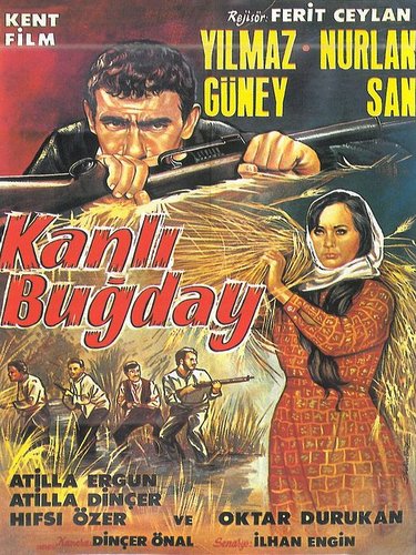 Grain (Buğday)