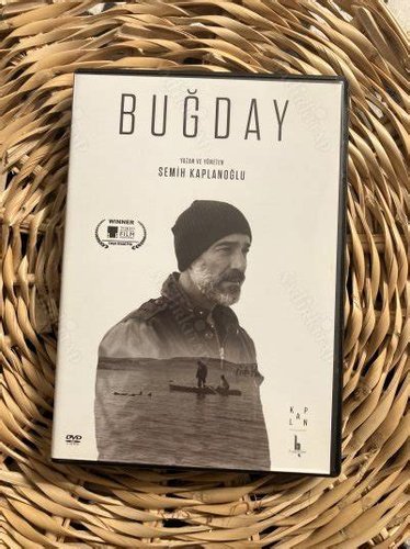 Grain (Buğday)