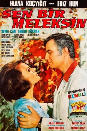 Sen Bir Meleksin