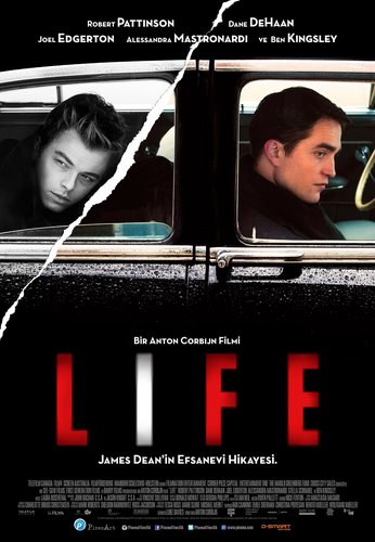Lifelong
