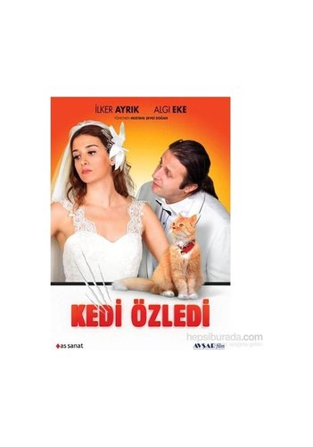 گربه دلتنگ شد (Kedi Özledi)