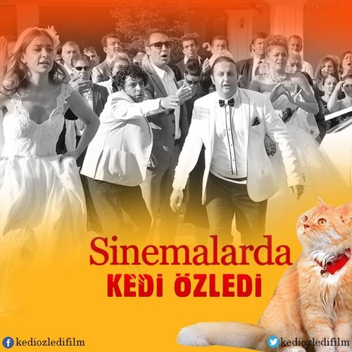 گربه دلتنگ شد (Kedi Özledi)