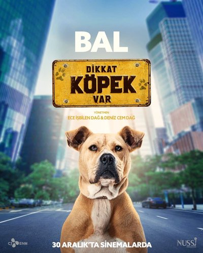 The Dog – 2005 Talat (Köpek – 2005 Talat)