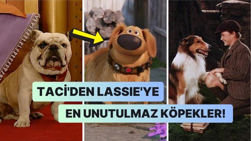 The Dog – 2005 Talat (Köpek – 2005 Talat)