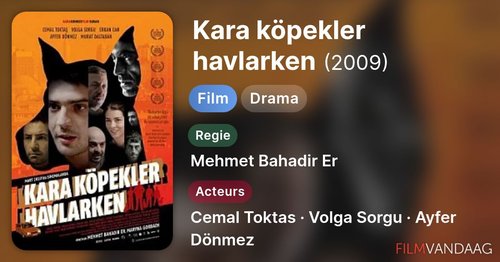 Wenn schwarze Hunde bellen (Kara Köpekler Havlarken)