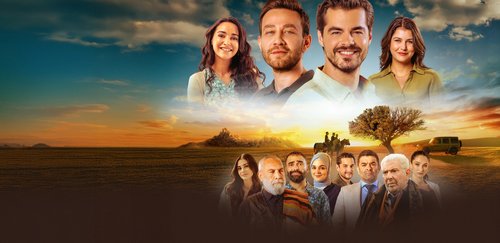 Anlamıyorlar