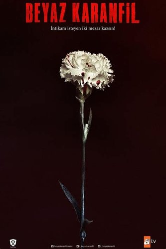 Бял карамфил (Beyaz Karanfil)