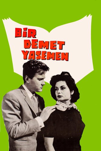 A Bunch of Local Films (Bir Demet Yerli Film)